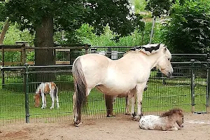 Speeltuin De Woeste Weide image