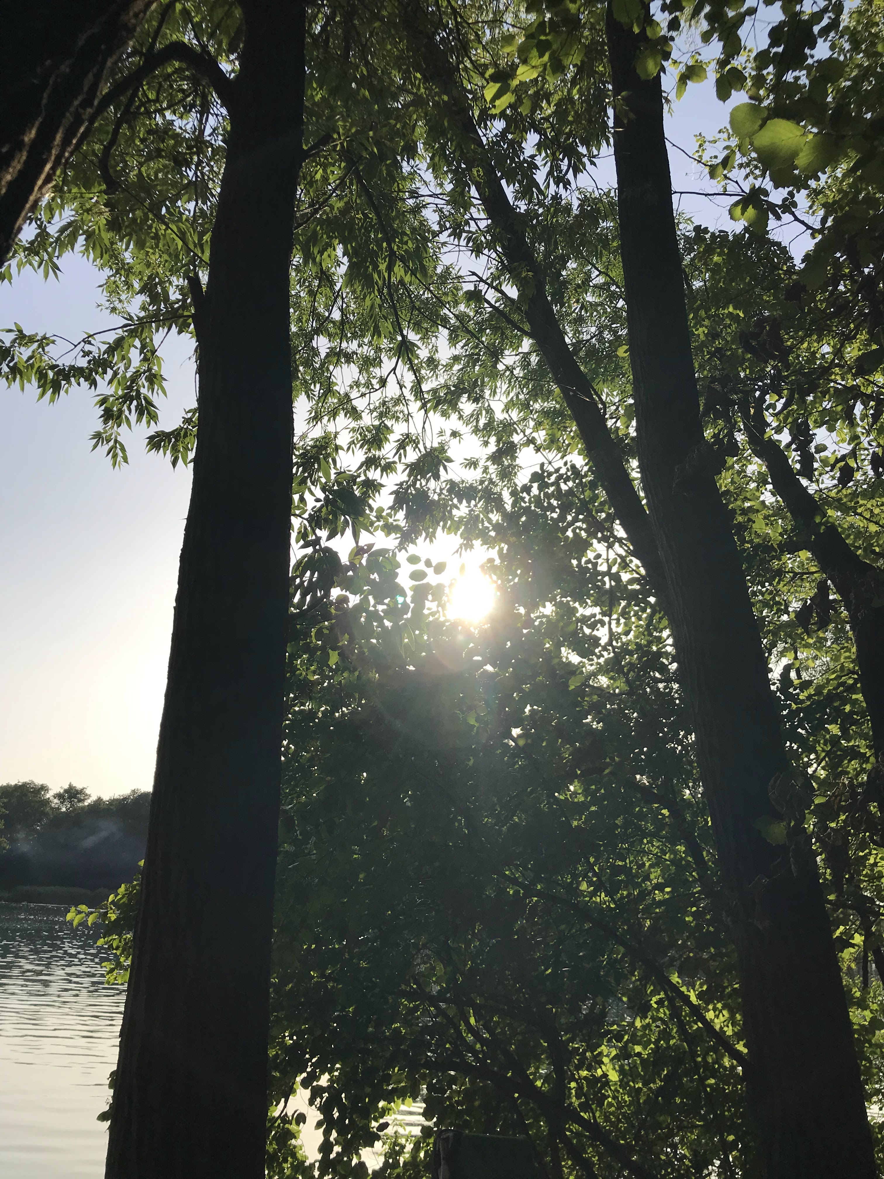 Photo n° 1 de l'avis de Jean-baptiste.o fait le 21/08/2019 à 08:49