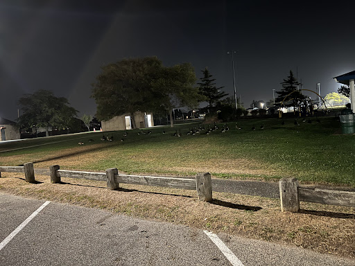 Skateboard Park «Tanner Skate Park», reviews and photos, 400 Baylawn Ave, Copiague, NY 11726, USA