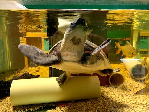 Pet Store «Zoo Creatures Pet Store», reviews and photos, 149 Plaistow Rd, Plaistow, NH 03865, USA