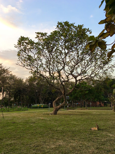 Thonburirom Park