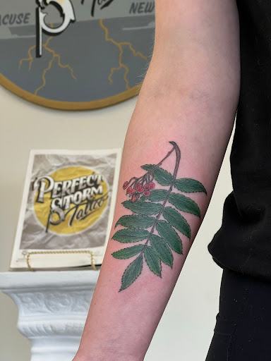 Explore trafalgar law tattoo ideas, creative tattoo ideas in Syracuse, available at Perfect Storm Tattoo