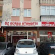 Özgürsu Otomotiv