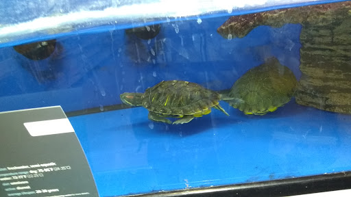 Pet Supply Store «PetSmart», reviews and photos, 24965 Pico Canyon Rd, Stevenson Ranch, CA 91381, USA