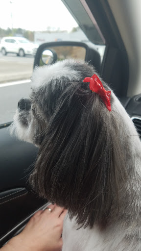 Pet Supply Store «PetSmart», reviews and photos, 842 Dawsonville Hwy, Gainesville, GA 30501, USA