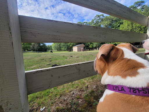 Dog Park «Danvers Dog Park», reviews and photos, 29 Ingersoll St, Danvers, MA 01923, USA