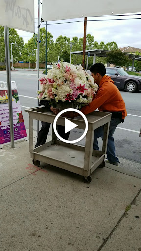 Florist «Guadalajara Flowers», reviews and photos, 32 S White Rd, San Jose, CA 95127, USA
