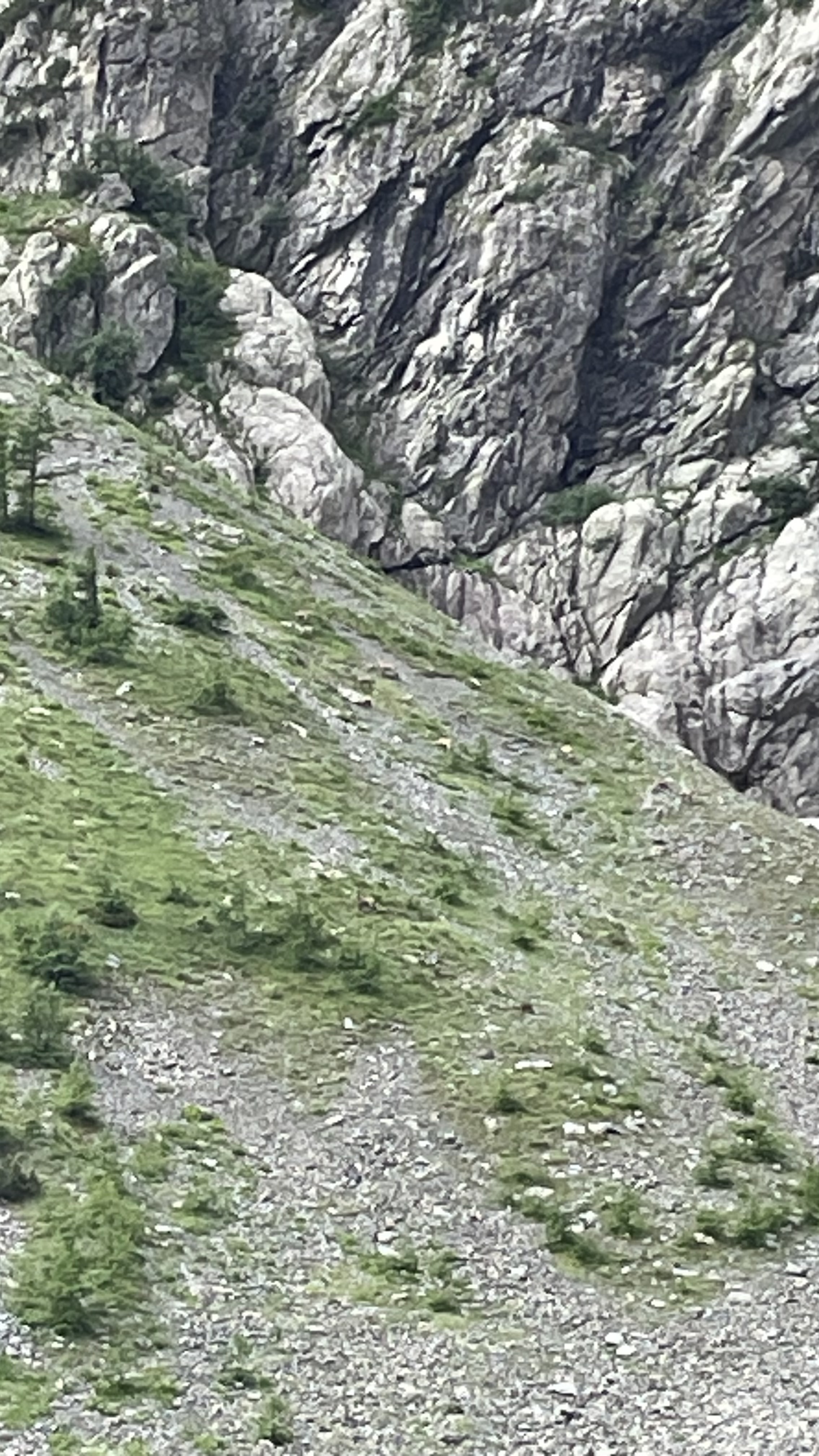 Photo n° 14 de l'avis de Rodolphe.E fait le 07/07/2023 à 17:05
