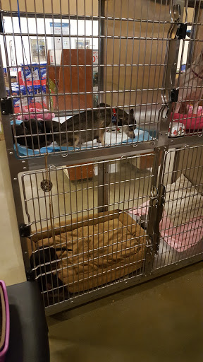 Pet Supply Store «PetSmart», reviews and photos, 2100 88th St, North Bergen, NJ 07047, USA