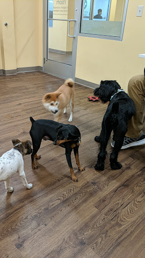 Pet Supply Store «PetPeople», reviews and photos, 3330 Washtenaw Ave, Ann Arbor, MI 48104, USA