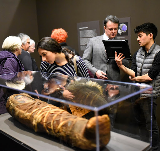 Museum «Mary and Leigh Block Museum of Art», reviews and photos, 40 Arts Cir Dr, Evanston, IL 60208, USA