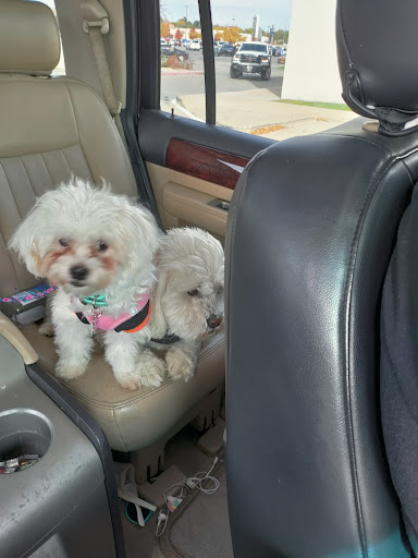 Pet Supply Store «PetSmart», reviews and photos, 1145 W Riverdale Rd, Riverdale, UT 84405, USA