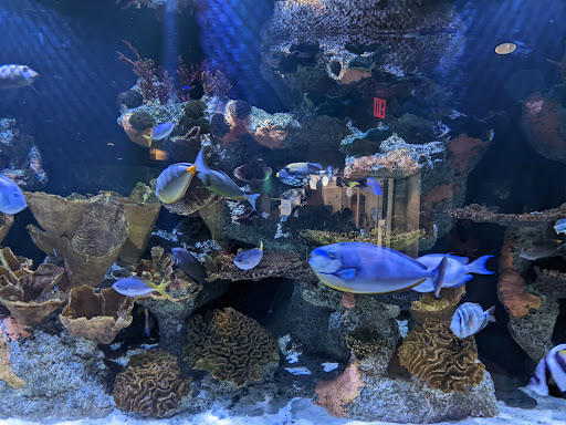 Aquarium «The Maritime Aquarium at Norwalk», reviews and photos, 10 N Water St, Norwalk, CT 06854, USA