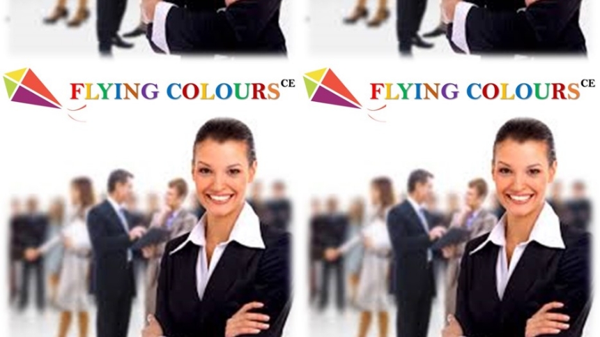 FLYING COLOURS CONSULTING