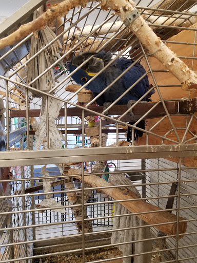 Pet Store «Critter Mart & More», reviews and photos, 3 10th St NW, Watertown, SD 57201, USA