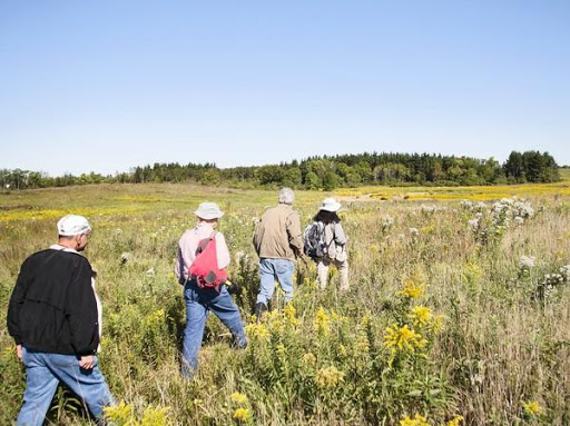 Nature Preserve «Orland Grassland», reviews and photos, 167th Street & S La Grange Road, Tinley Park, IL 60487, USA