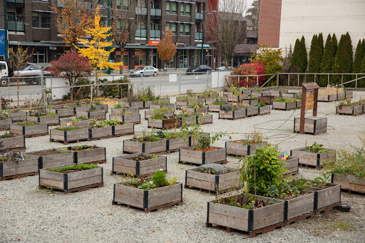 Community Garden Builders