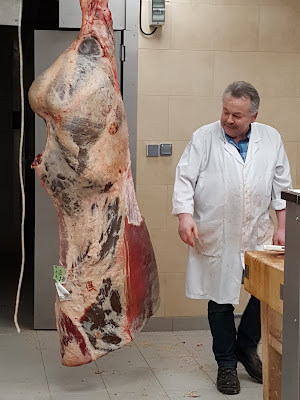 Fréon Jean-Luc à Meudon