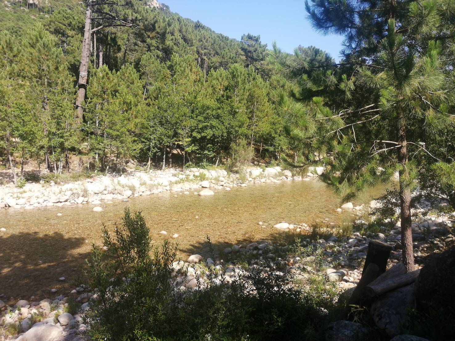 Photo n° 1 de l'avis de Jean.a fait le 10/07/2020 à 20:08