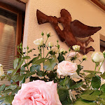 Photo n°2 de l'avis de Petra.� fait le 08/06/2022 à 09:54 sur le  Engel – Das Café à Tangermünde