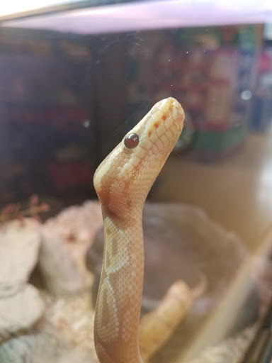 Pet Supply Store «PetSmart», reviews and photos, 5005 S 74th St, Greenfield, WI 53220, USA