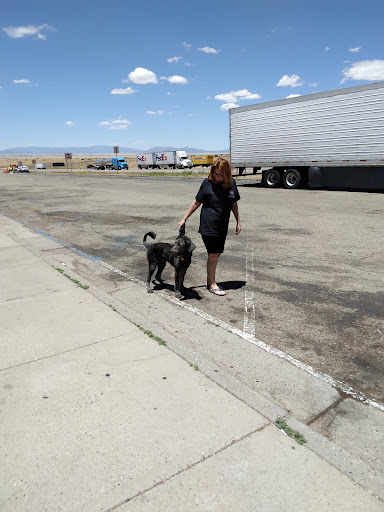 Night Club «Club Cheetah», reviews and photos, 6425 S Padre Island Dr, Corpus Christi, TX 78412, USA