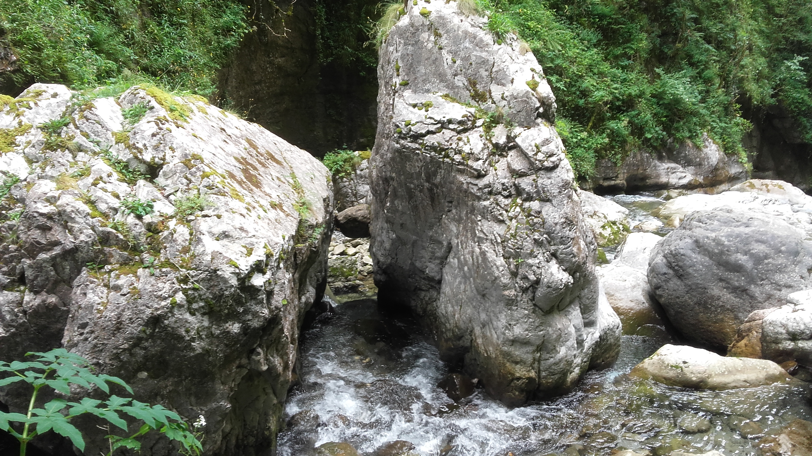 Photo n° 2 de l'avis de frederic.h fait le 16/07/2019 à 16:03