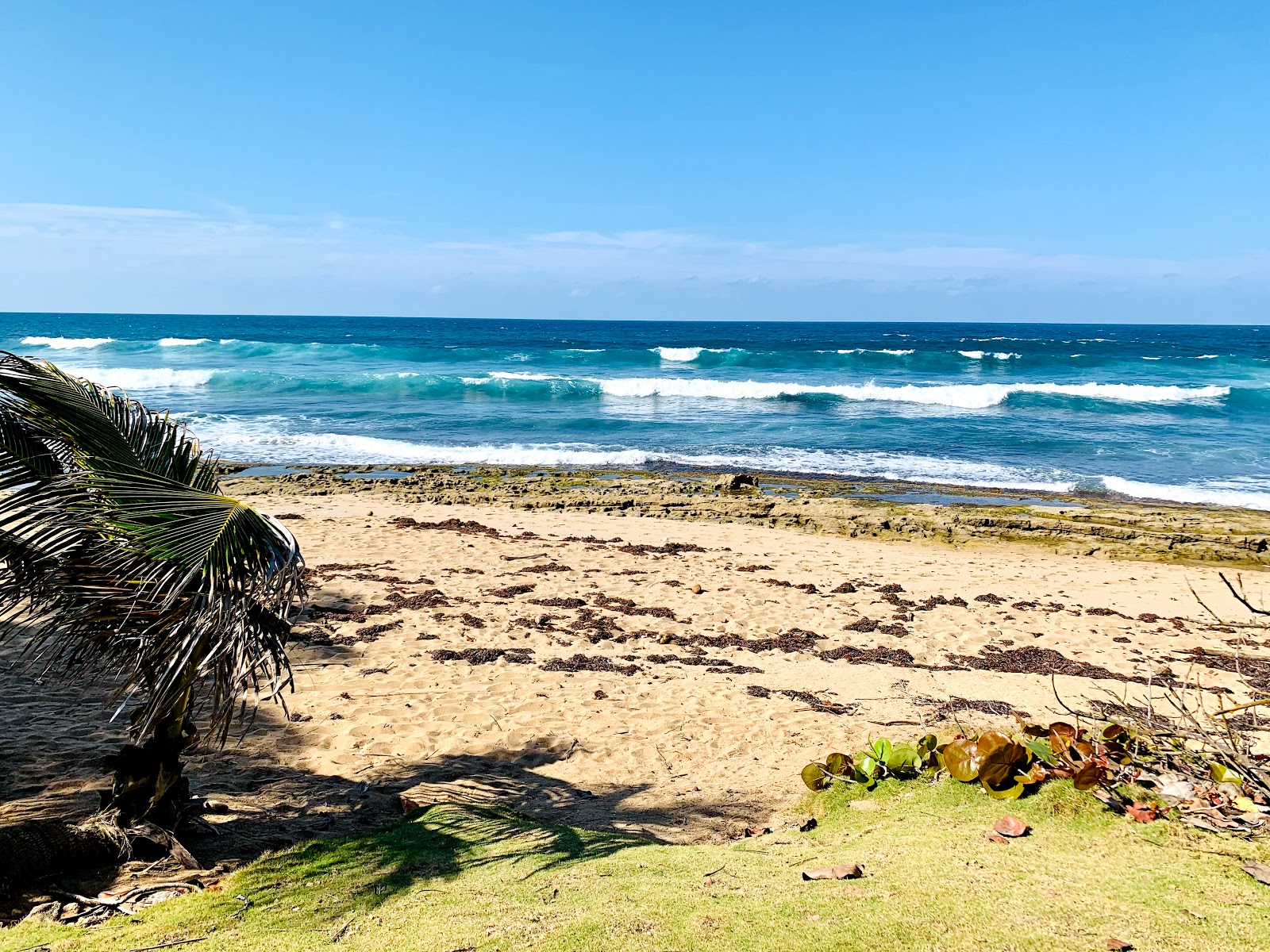 Zdjęcie Kikita Surf beach i osada