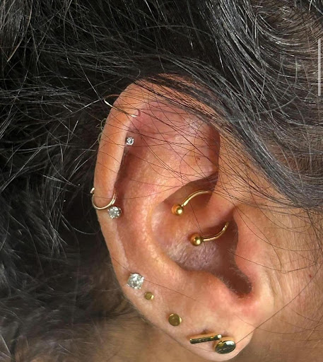 Explore hibiscus tattoo ideas, creative tattoo ideas in Phoenix, available at Tattoo Republic