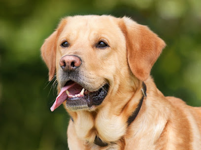 CLÍNICA VETERINARIA SAN PABLO