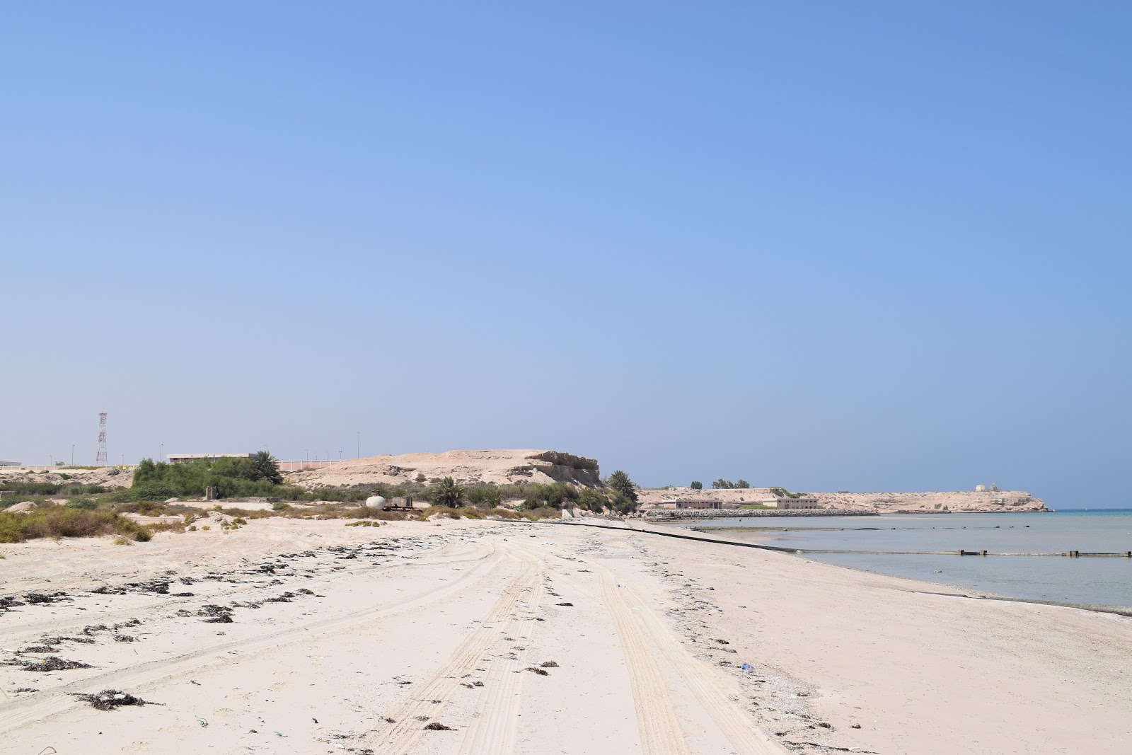 Sir Bani Yas beach'in fotoğrafı vahşi alan