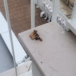 Photo n°4 de l'avis de Matteo.e fait le 31/12/2022 à 07:23 sur le  Alexander Museum Palace Hotel à Pesaro