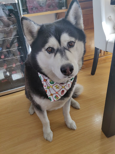 Inland Valley Veterinary Specialists image