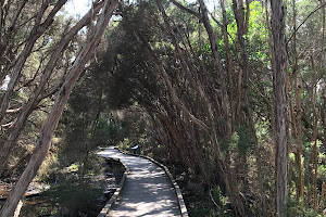 Balcombe Estuary Reserve