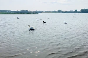 Malahide Estuary image