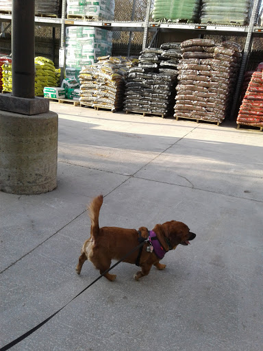 Home Improvement Store «The Home Depot», reviews and photos, 3470 North Rd, Poughkeepsie, NY 12601, USA