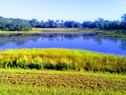 National Forest «Apalachicola National Forest», reviews and photos, Stateroad 13, Sopchoppy, FL 32358, USA