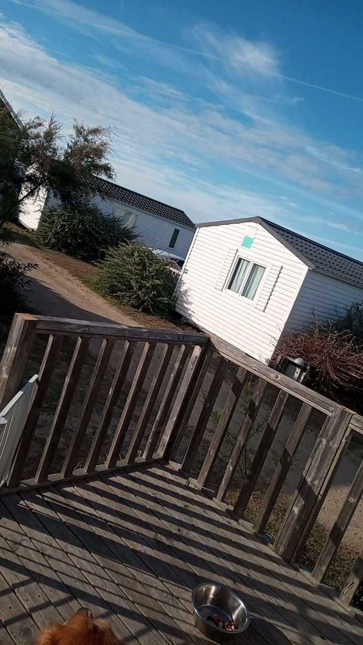 Photo n° 1 de l'avis de DIXOU.E fait le 23/08/2020 à 16:47