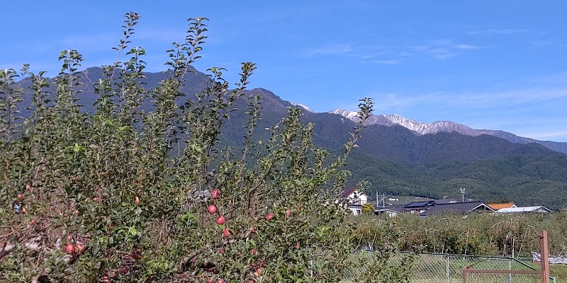 松川町農村観光交流センター みらい