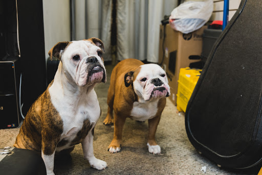 Pawn Shop «Aston Pawn Shop», reviews and photos, 4716 Pennell Rd, Aston, PA 19014, USA