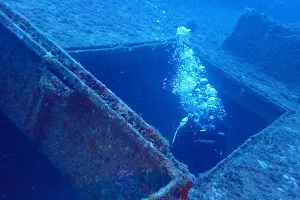 Anemone Diving Center Palamós image