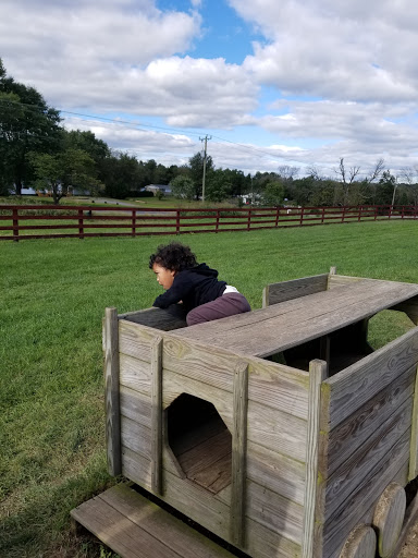 Dairy Farm «Cows-N-Corn», reviews and photos, 5225 Catlett Rd, Midland, VA 22728, USA