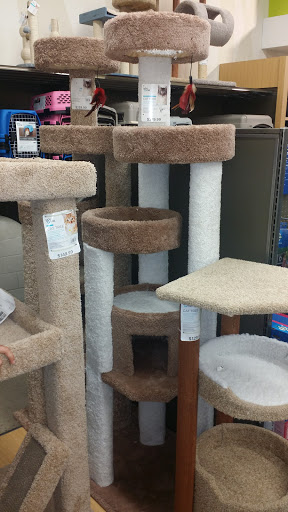 Pet Supply Store «Petco Animal Supplies», reviews and photos, 5994 Montana Ave, El Paso, TX 79925, USA