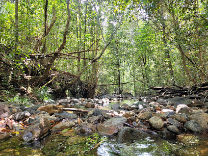 Pinangah Forest Reserve