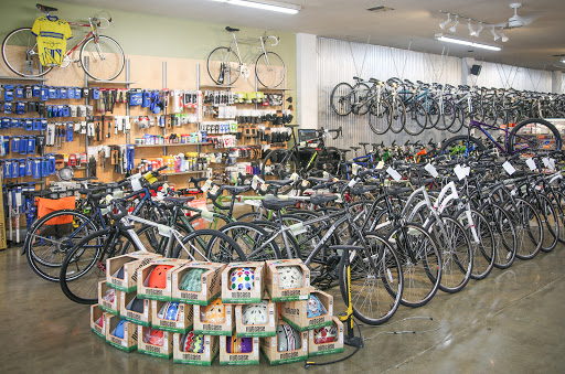 Trek Bicycle Sacramento Midtown
