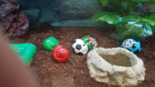 Pet Supply Store «Petco Animal Supplies», reviews and photos, 313 Homer M Adams Pkwy, Alton, IL 62002, USA