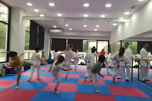 Karate club Αμαρουσίου image