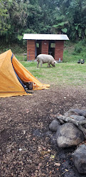 Camping Pudú del Este
