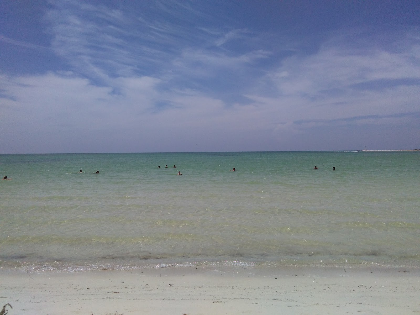 Foto de Playa Rio Lagartos com muito limpo nível de limpeza