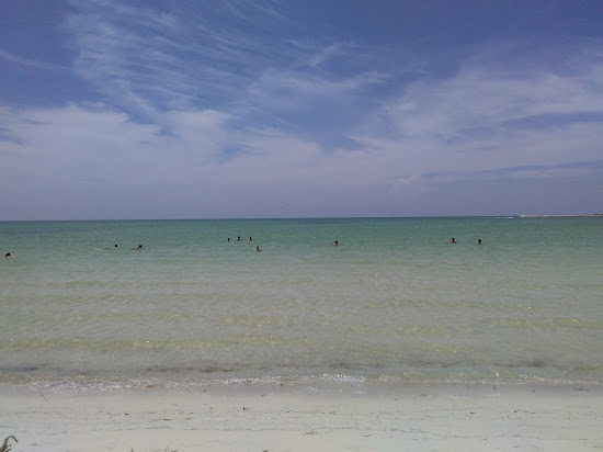 Playa Rio Lagartos